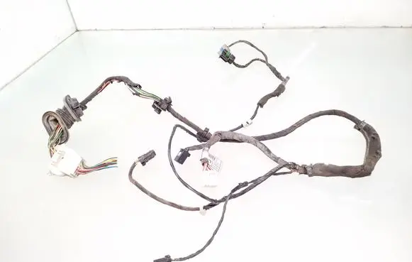 Rear door wiring loom