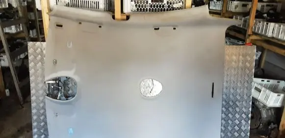 Mercedes-Benz CLS C219 Headlining A2196900050