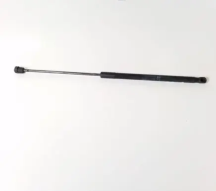 Tailgate strut