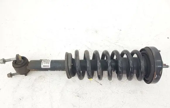 Ford F150 Front shock absorber with coil spring JL3418045 1A19569A 181102B