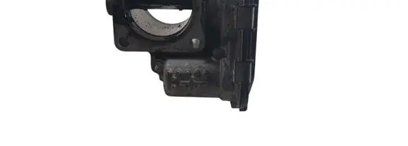 Throttle body valve
