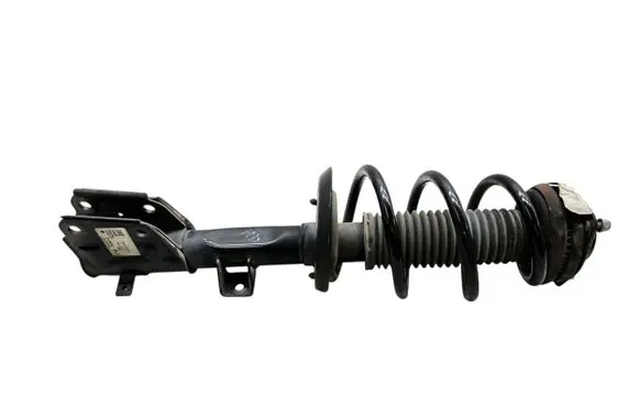 Chrysler Pacifica Front shock absorber with coil spring P68248726AD 68248726AD