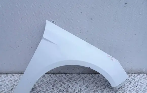 Ford Focus Fender f2dws