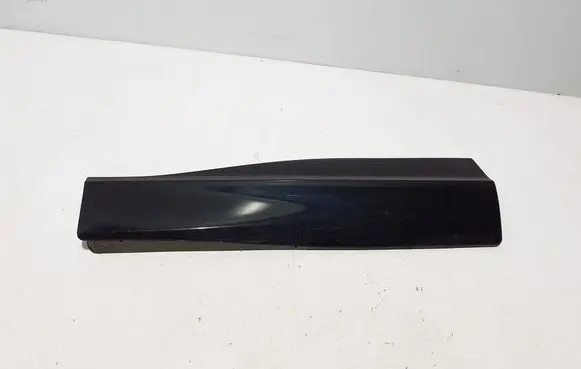 Rear door trim (molding)