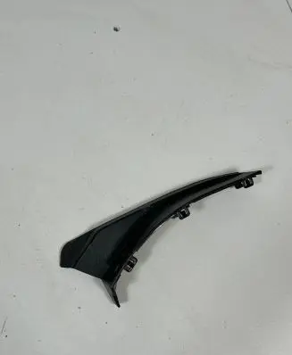 Rear/tail light trim molding