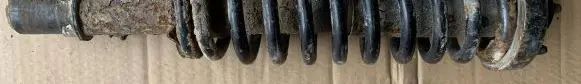 Honda Accord Front shock absorber with coil spring