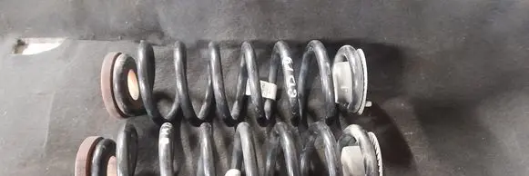 Rear coil spring