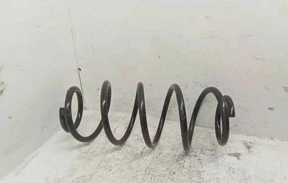 Renault Kangoo II Rear coil spring