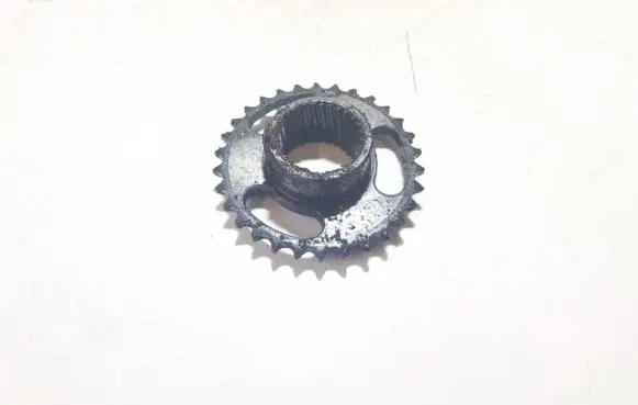 BMW X5 E53 Camshaft pulley/ VANOS 1744263