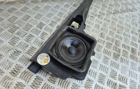 Front door speaker