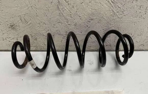 Rear coil spring