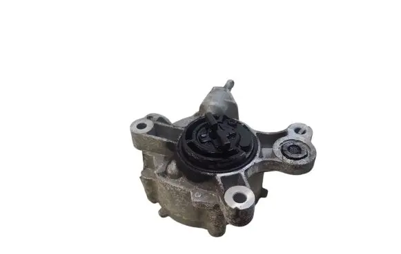 Peugeot 407 Vacuum pump D1651C2 22060