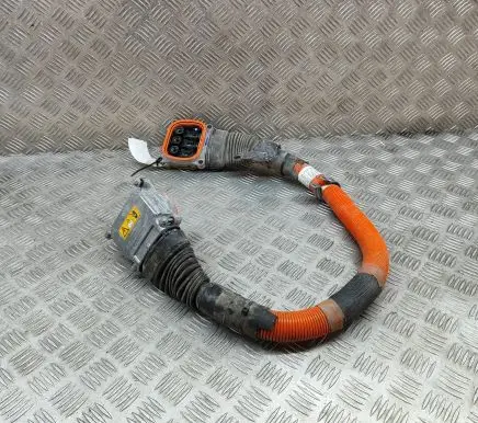 BMW 2 F45 Other wiring loom 6824129