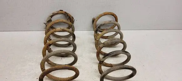 Rear coil spring