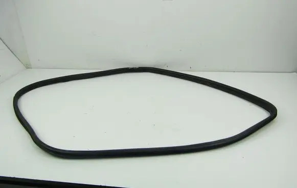 Fiat Punto (199) Front door rubber seal 