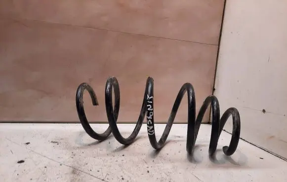 Front coil spring