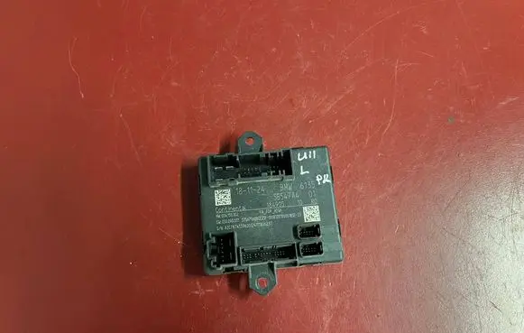 BMW X1 U11 Door control unit/module 5B547A4 61355B547A4