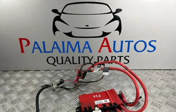 BMW 1 F20 F21 Positive wiring loom V6922775205