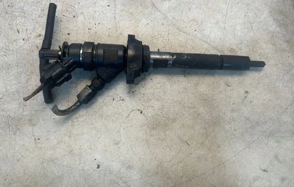 Citroen C3 Picasso Fuel injector 0445110311 620033
