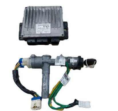 Hyundai Terracan Engine control unit/module 391014X740 81900H1B40