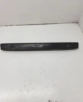 Trunk door license plate light bar