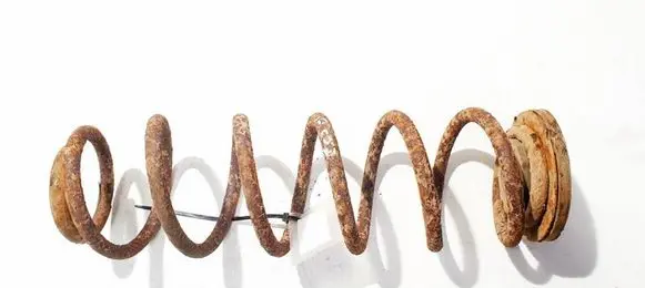 Rear coil spring