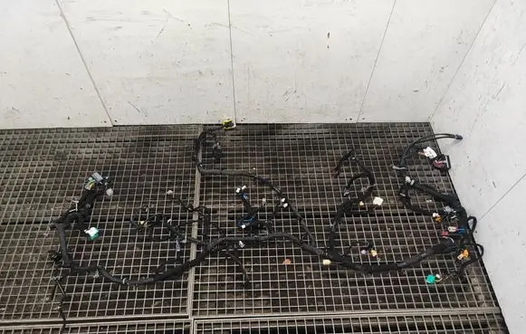 Other wiring loom