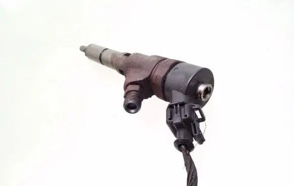 Citroen C5 Fuel injector 0445110076 9641742880