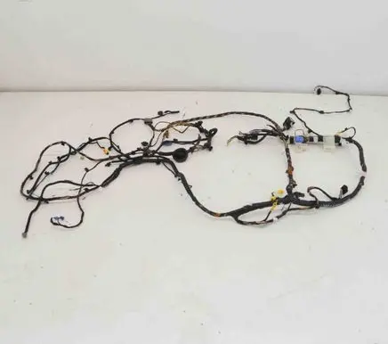Tesla Model 3 Other wiring loom 106795400E