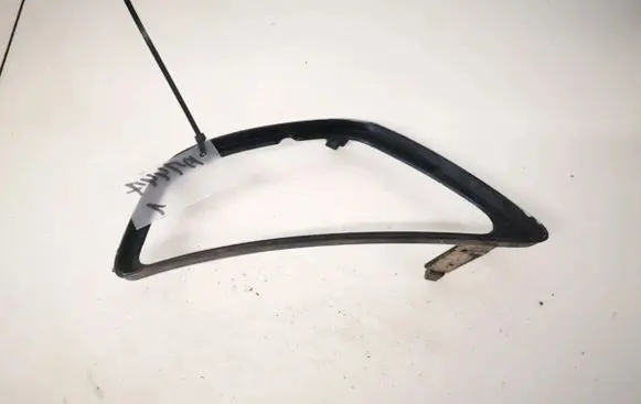 Front bumper lower grill
