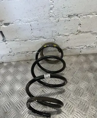 Front coil spring