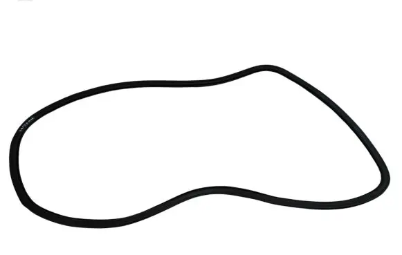Jeep Compass Rear door rubber seal (on body) 