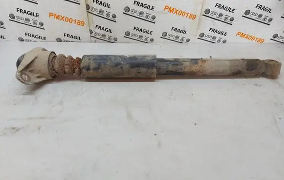 Volkswagen PASSAT B6 Rear shock absorber/damper 3C0513049BS
