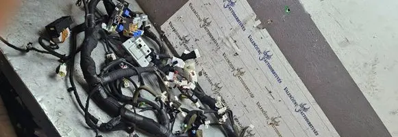 Renault Koleos II Panel wiring 925917163R