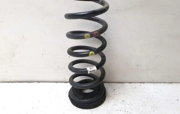 Rear coil spring