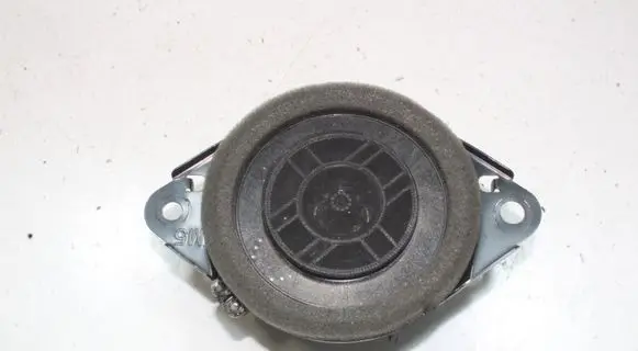 Lexus UX Panel speaker 861600WS20