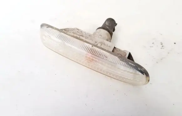 Front fender indicator light