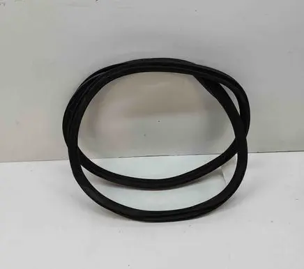 BMW iX Rubber seal front coupe door 8491451
