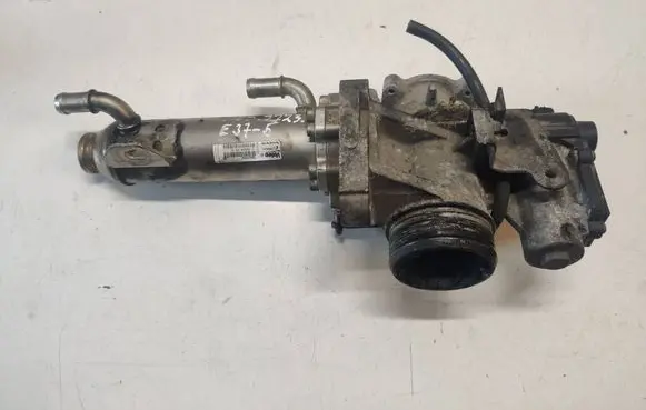 EGR valve