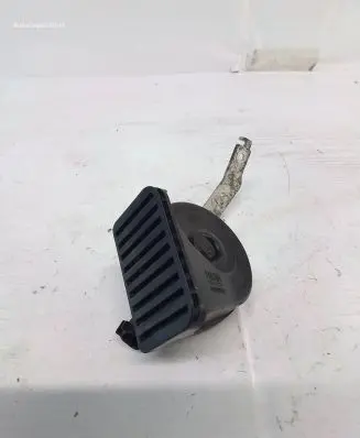 Horn signal