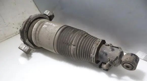 Porsche Cayenne (9PA) Rear shock absorber/damper