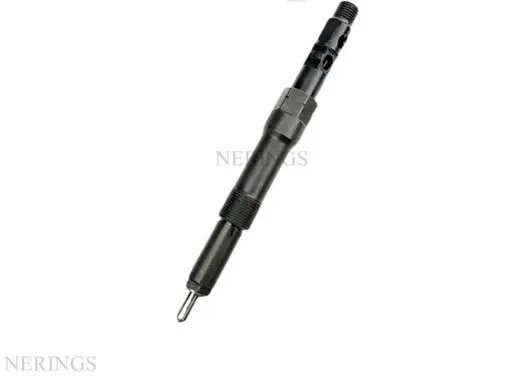 Jaguar X-Type Fuel injector R00701D HRD328