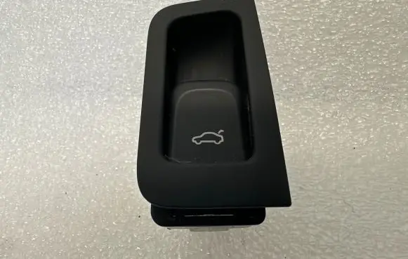 Tailgate opening switch
