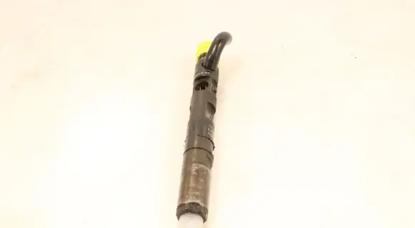 Renault Clio III Fuel injector EJBR03101D