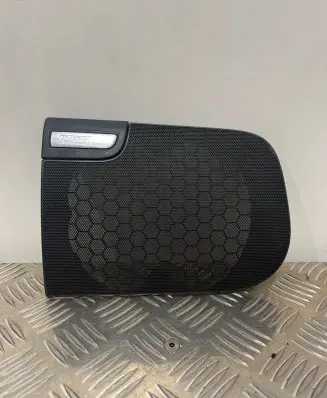 Side speaker trim/cover