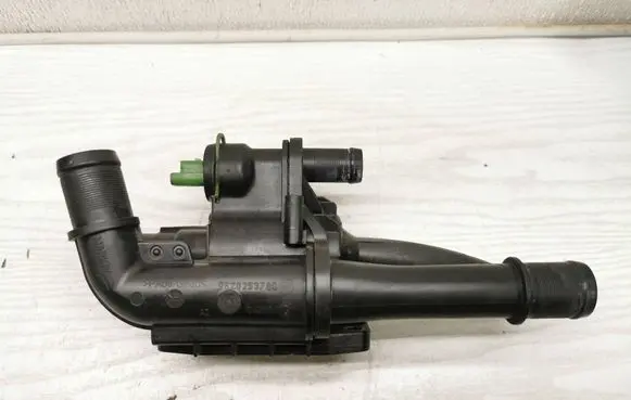 Thermostat/thermostat housing
