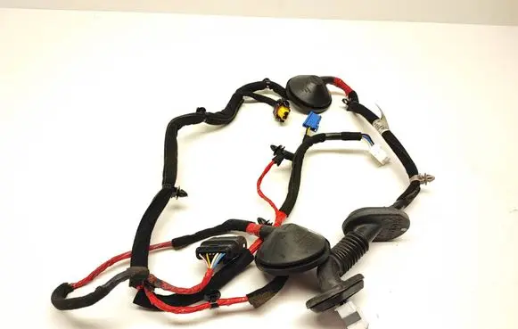 Rear door wiring loom