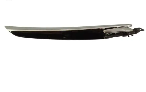 BMW X5 E70 Front door trim bar 4993001