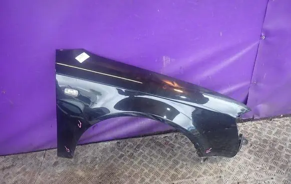 Fender