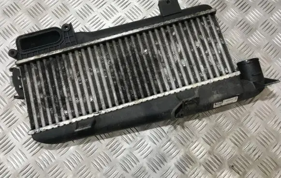 Citroen Xsara Intercooler radiator 9613541380 50277557